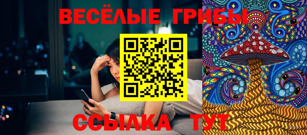 Галлюциногенные грибы Psilocybine cubensis Лабинск